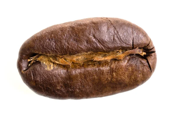 One espresso bean before white background — Stock Photo, Image