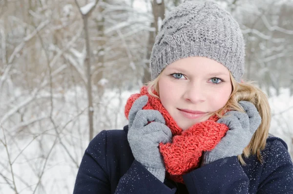 Mujer rubia joven con gorro y bufanda retrato de madera de invierno —  Fotos de Stock