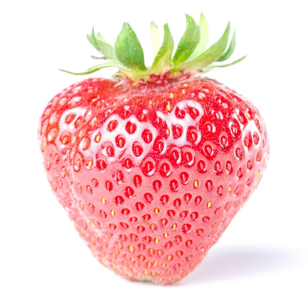 Strawberry isolated before white — Stock Photo, Image