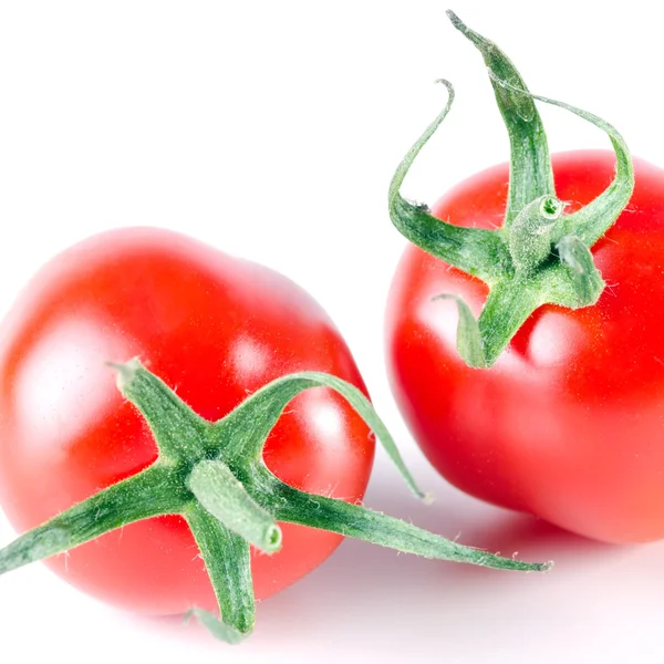 Due pomodori isolati prima di bianco — Foto Stock