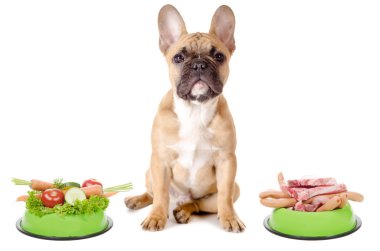 Vegetables or meat for the dog clipart