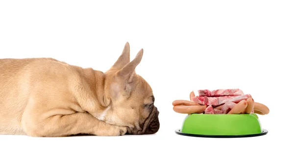 Dog with a feeding bowl full of meat and sausage — Stock Photo, Image