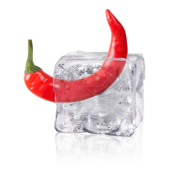 Pimenta em um cubo de gelo — Fotografia de Stock