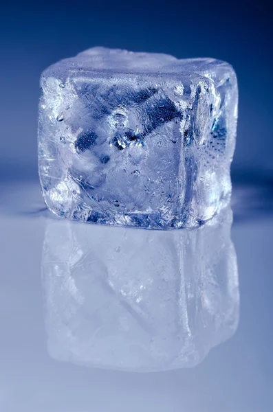 Cubo de hielo con espacio de copia — Foto de Stock