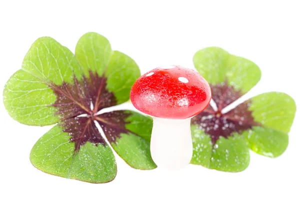 Lucky devil with clover — Stock Photo, Image