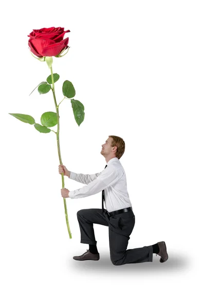 Homem ajoelhado uma rosa segurando — Fotografia de Stock