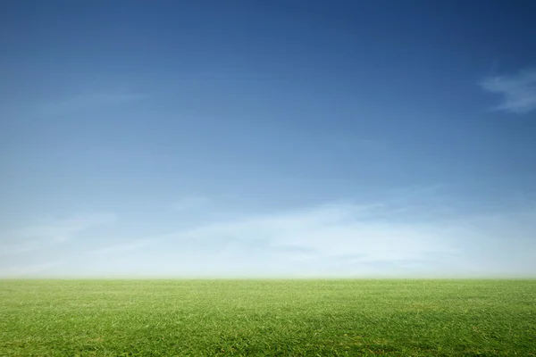 Grasveld met blauwe lucht — Stockfoto