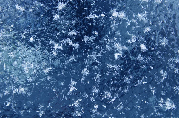 Frosty pattern on window in winter — Stock Photo, Image