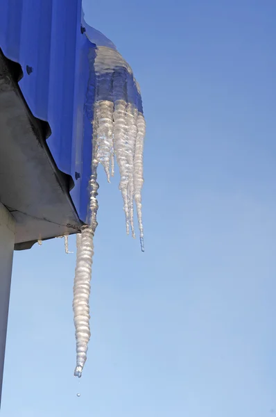 Icicle — Stock Photo, Image