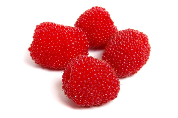Красные ягоды на белом фоне — стоковое фото