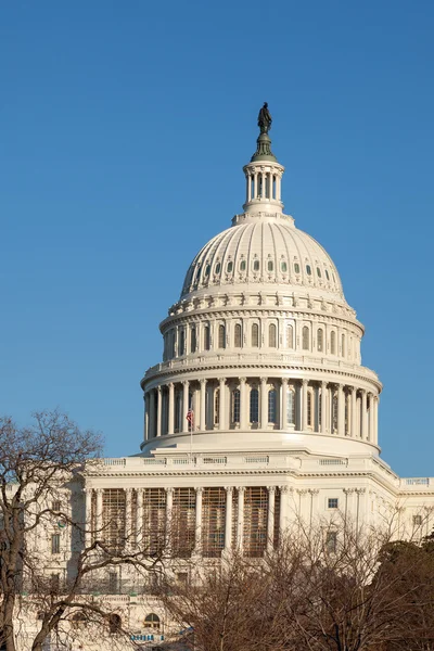 U.S. Capitol Dome Rear Face against Clear Blue Sky — Stock Photo, Image