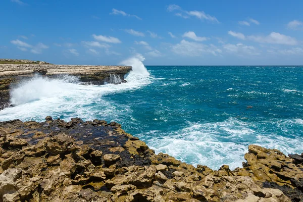 Rocky Coastline near Devil's Bridge Antigua — Stock Photo, Image