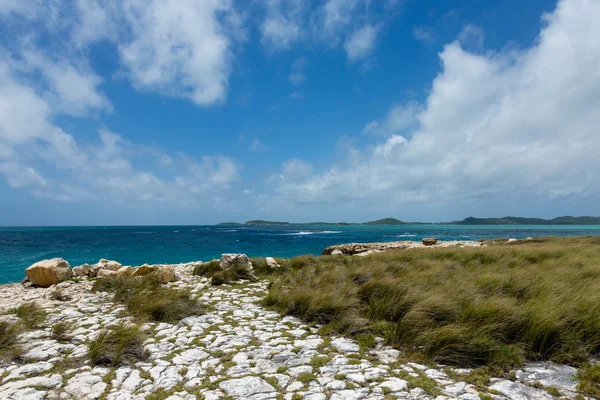 Rocky Limestone Coastline at Devil 's Bridge Antigua Стоковая Картинка