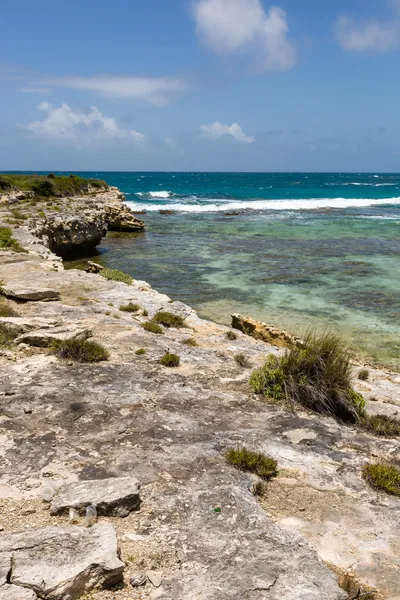 Rustikalen tropischen Strand Küste Antigua lizenzfreie Stockfotos