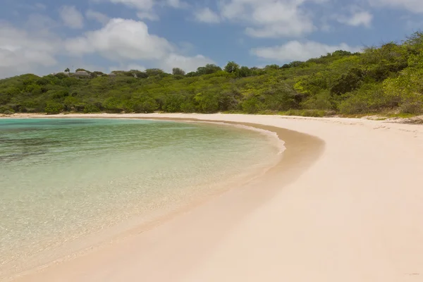 Calm Sandy Tropical Beach at Half Moon Bay 스톡 사진