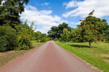 güzel yaz bahçesine doğru giden yol