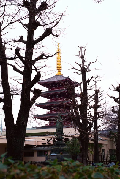 Tokyo Ιαπωνια 2020 Φεβρουαριου Sensoji Temple Στο Τόκιο Ιαπωνία Φεβρουαριου — Φωτογραφία Αρχείου