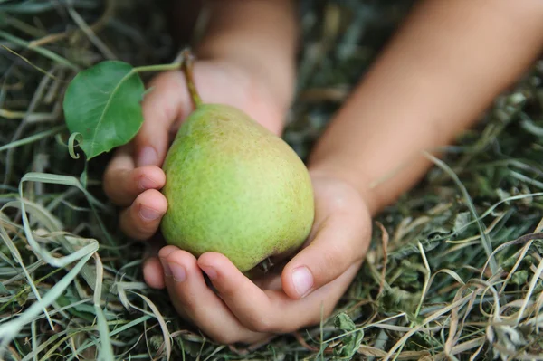 Pear in children's hands — Stock Photo, Image