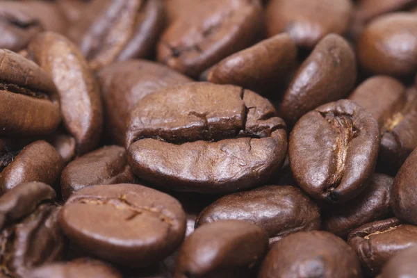 Coffee beans as background Royalty Free Stock Images