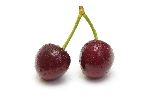 Cerises mûres — Photo