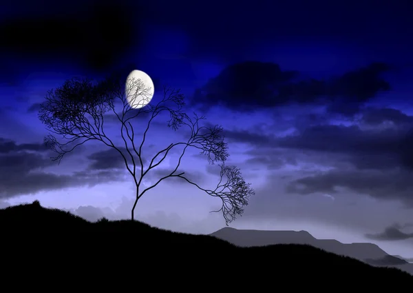 The full bright moon. — Stock Photo, Image