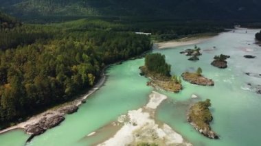Hızlı akan geniş ve tamamen akan bir dağ nehri. Büyük kayalar sudan dışarı çıkar. Büyük dağ nehri Katun, turkuaz rengi, Altai Dağları 'nda