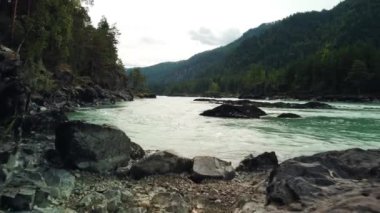 Katun Nehri ile Altai doğal manzarası. Kayalık bir kıyıda ve nehirde alçak irtifada uçuyorlar. Sibirya