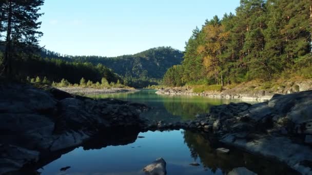 Altai natural landscape with the Katun River. Flying at low altitude on a drone over a rocky rocky shore and a river. Siberia — Stock Video