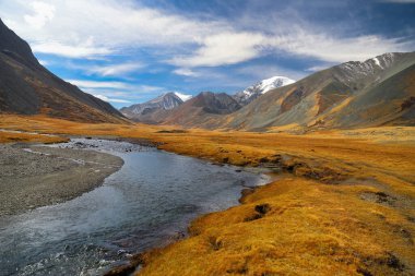 Kuzey Chui sırtı buzullarının eteğindeki Elangash Nehri vadisinde sonbahar. Kuş bakışı bakış. Kosh-Agachsky bölgesi, Altai Cumhuriyeti, Rusya