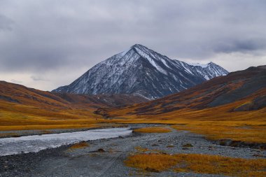 Kuzey Chui sırtı buzullarının eteğindeki Elangash Nehri vadisinde sonbahar. Kuş bakışı bakış. Kosh-Agachsky bölgesi, Altai Cumhuriyeti, Rusya