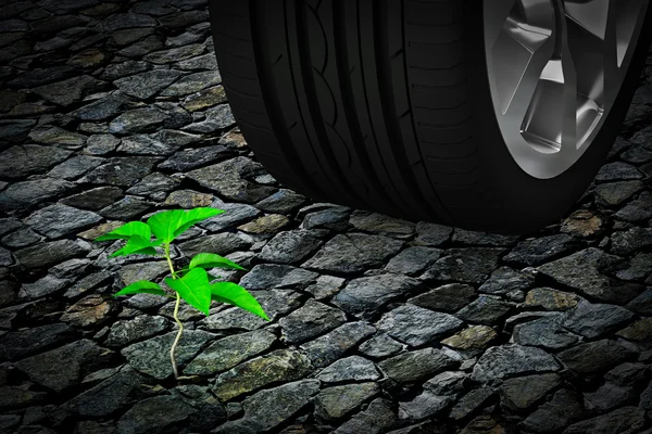 Roda do carro ao lado de pequena planta verde na pedra — Fotografia de Stock