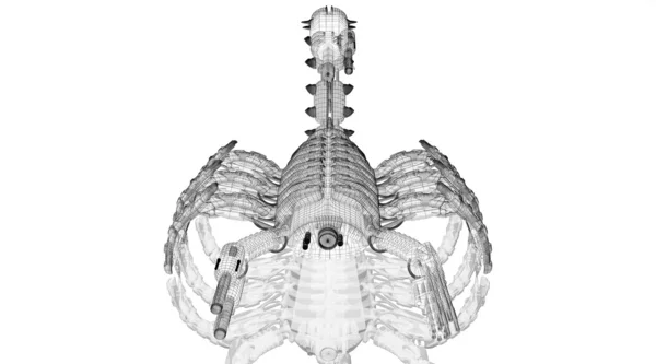 Skorpion — Zdjęcie stockowe