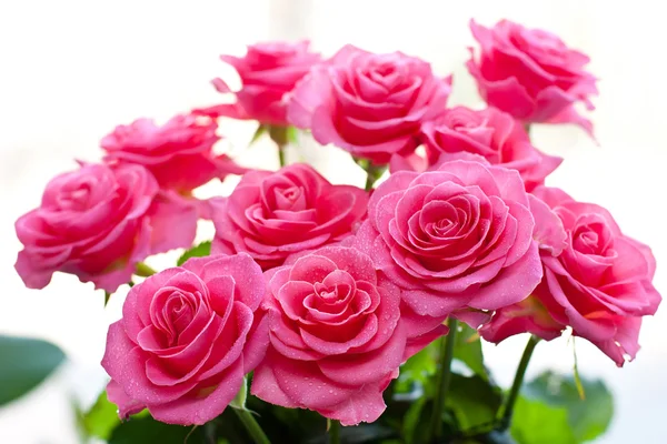 Pink rose with water droplets — Stock Photo, Image