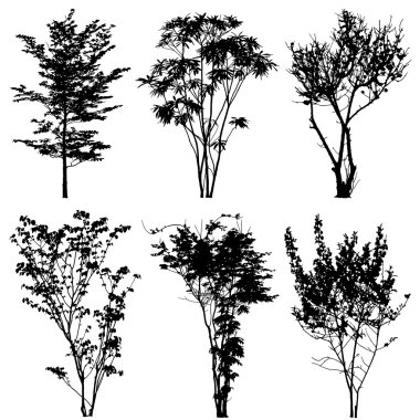 ağaçlarının silhouettes