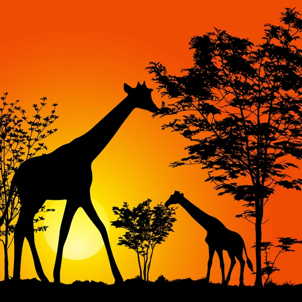 Silhouette giraffe — Vettoriale Stock