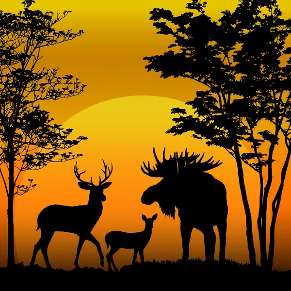 Deer and moose silhouette — Stock Vector