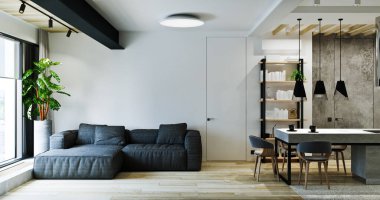 Modern çatı katı tarzı daire içi, özel ev