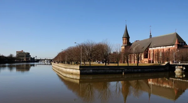 Kaliningrad katedrali Telifsiz Stok Imajlar