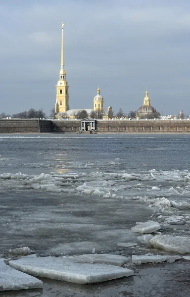 Våren st. petersburg — Stockfoto