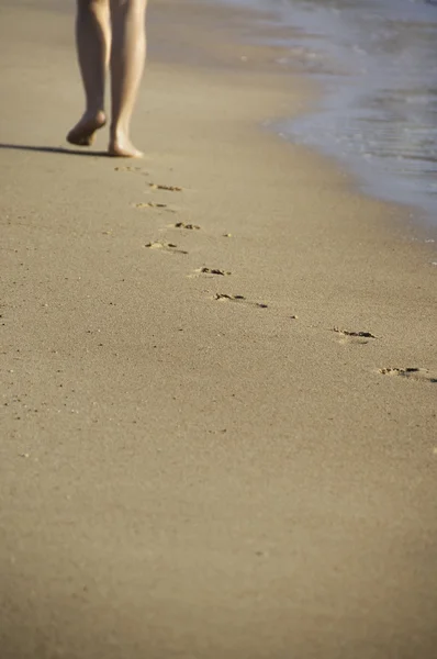 모래 사장에서 산책 — 스톡 사진