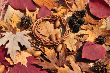 arka planı renkli yaprakları.