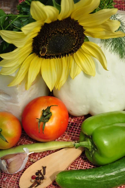 Groenten en zonnebloem. — Stockfoto