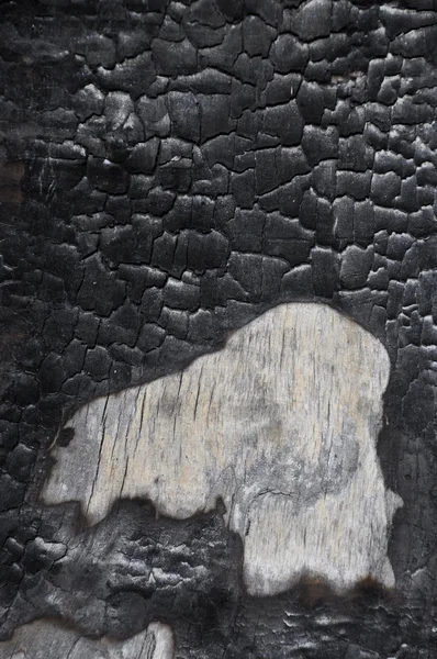 Texture of charred wood. — Stock Photo, Image