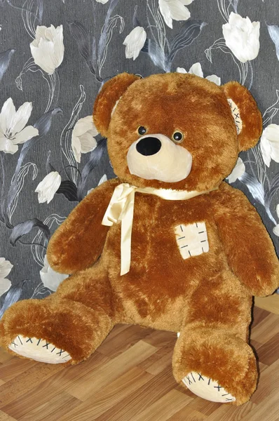 Teddybär. — Stockfoto