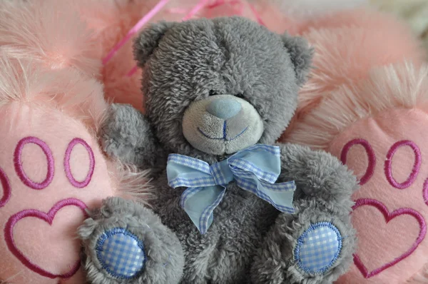 Teddy bear. — Stock Photo, Image