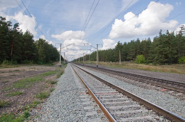 Railway in the forest. — Stock Photo, Image