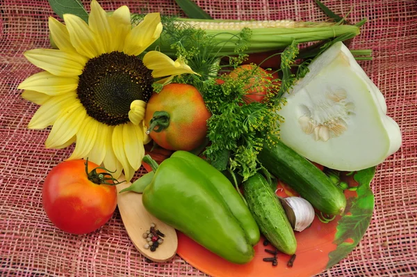 Contexte des légumes et tournesol . — Photo