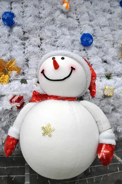 Sneeuwpop. — Stockfoto