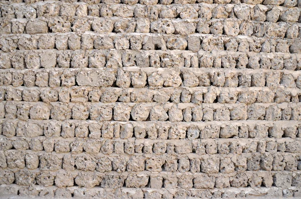 Ściany rafy. — Zdjęcie stockowe
