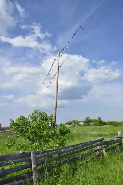 Landelijk landschap. — Stockfoto